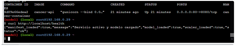 Visualización de la API de diagnóstico con Flask, Docker y CI/CD